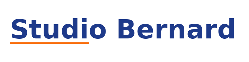 Studio Bernard logo